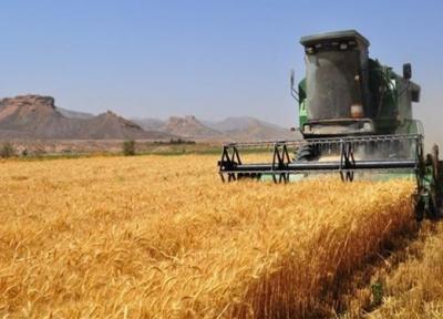 برداشت 108 تن گندم از مزرعه تحقیقاتی دانشگاه آزاد اسلامی اقلید